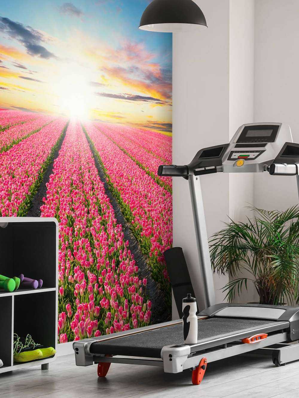 Tulipes avec le soleil levant