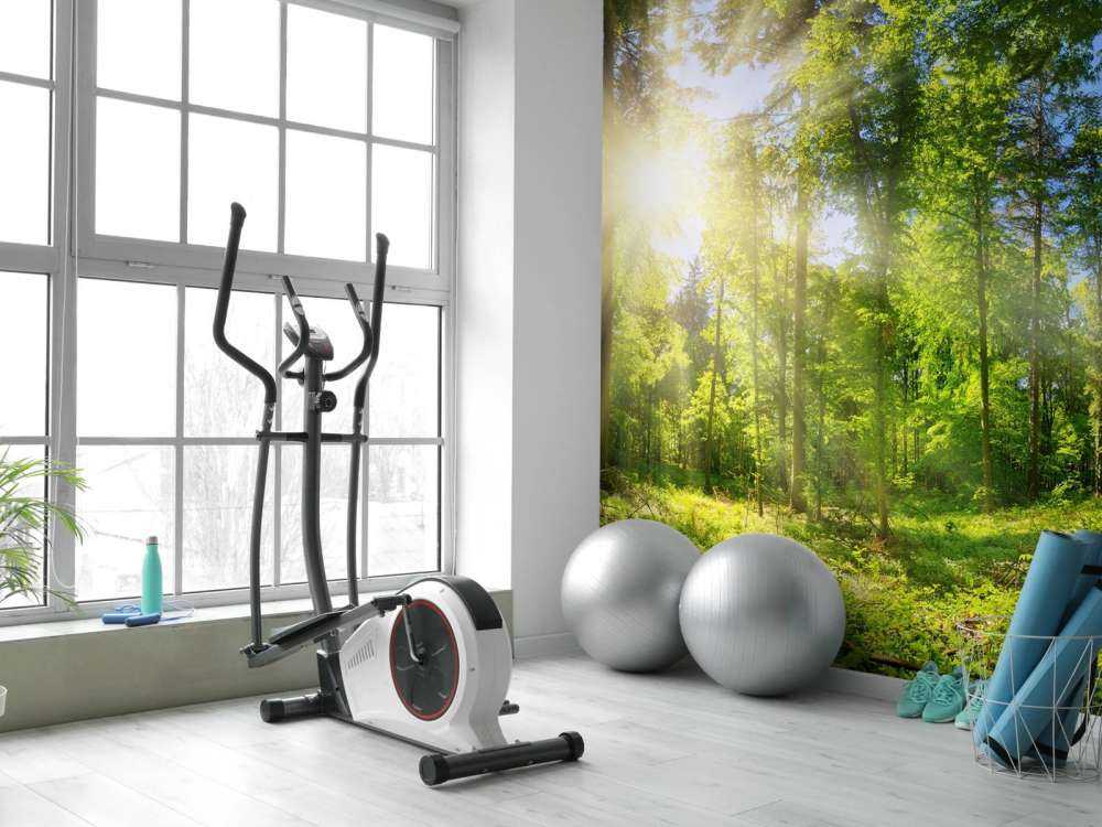 Une forêt avec des rayons de soleil