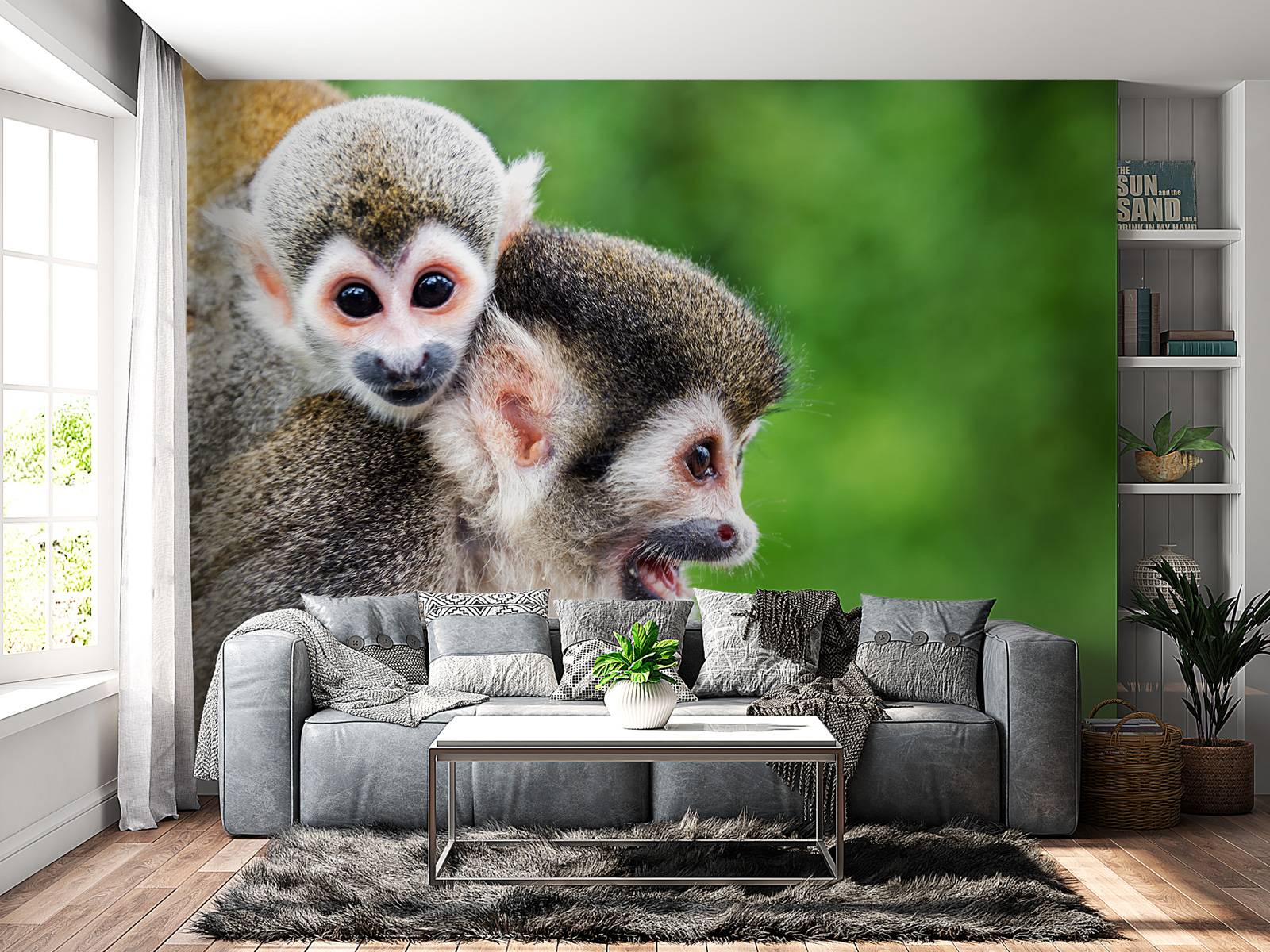 Singes écureuils