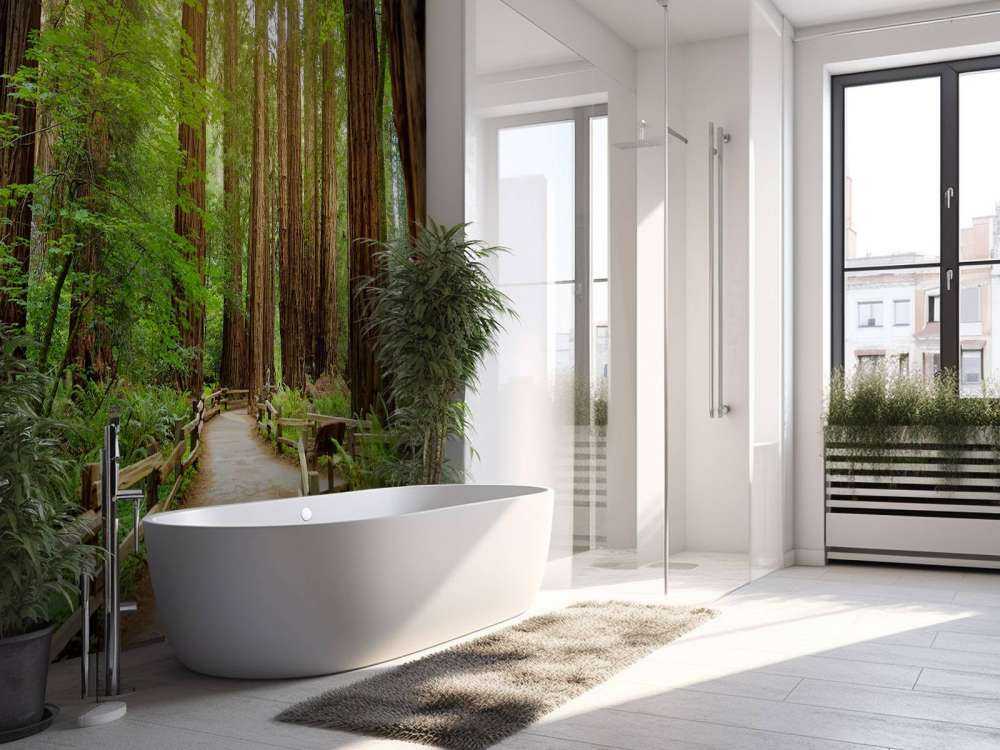 De grands arbres dans un parc