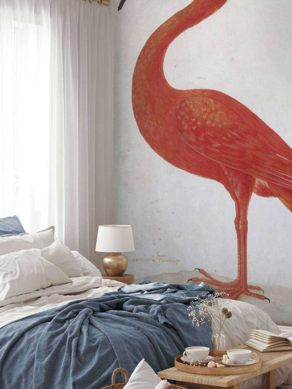 Ibis rouge à l'oeuf