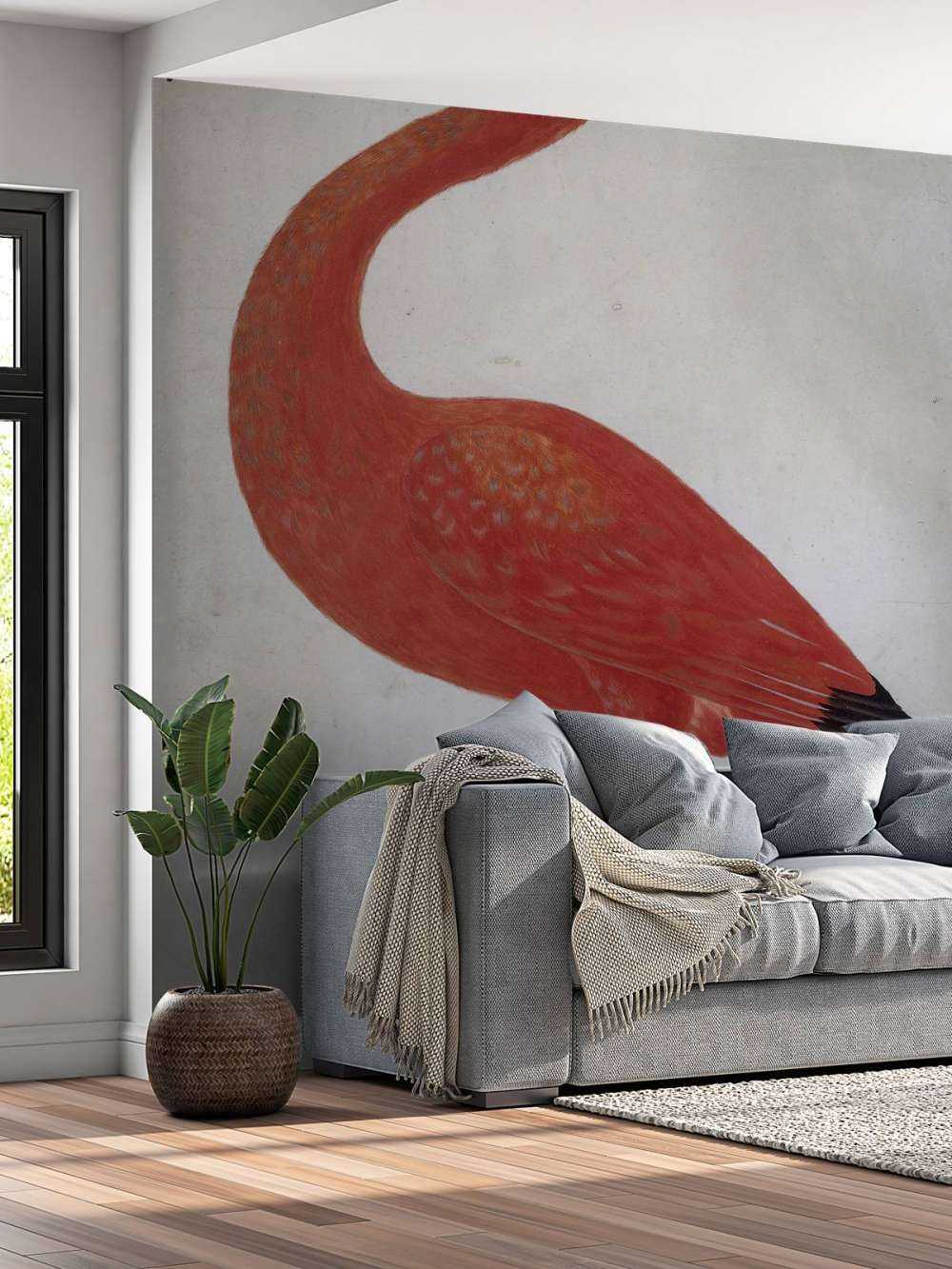 Ibis rouge à l'oeuf