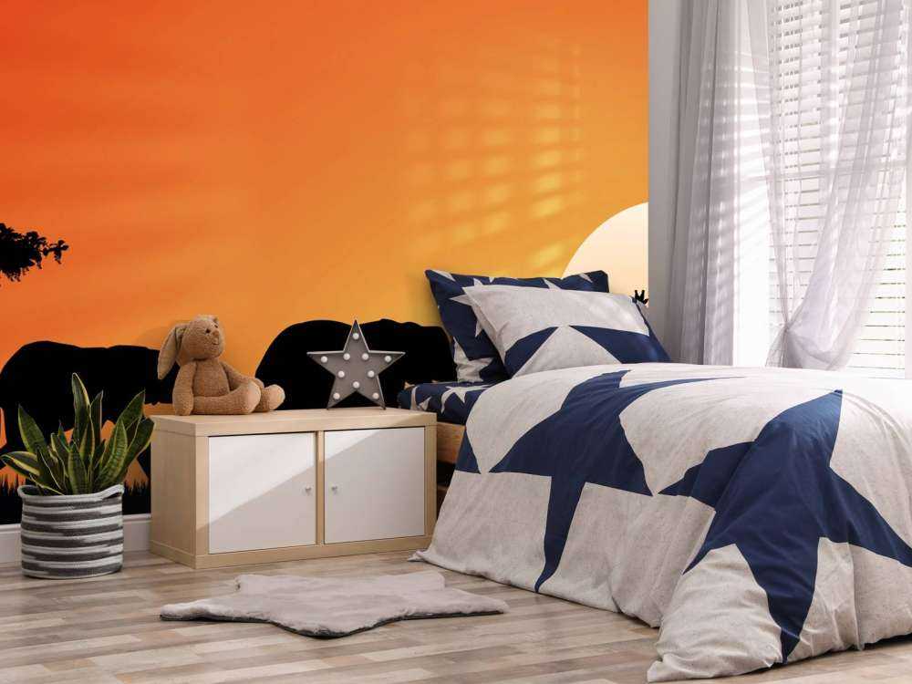 Safari au coucher du soleil