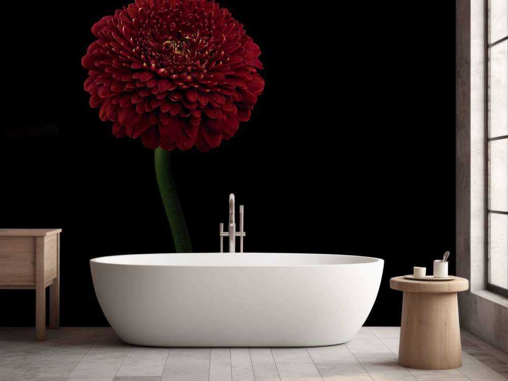 Fleur rouge sur la tige