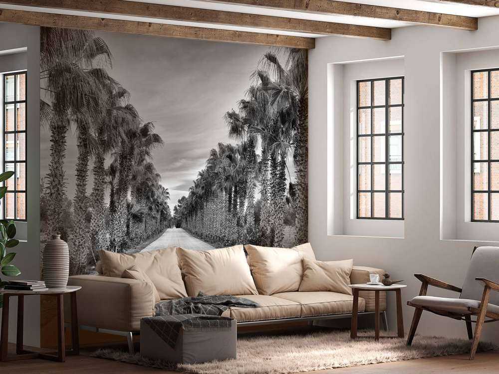 Rue avec des palmiers