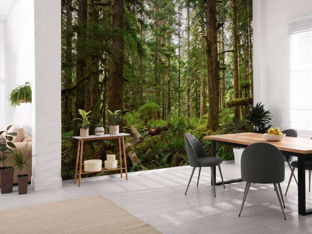 Forêt verte sauvage