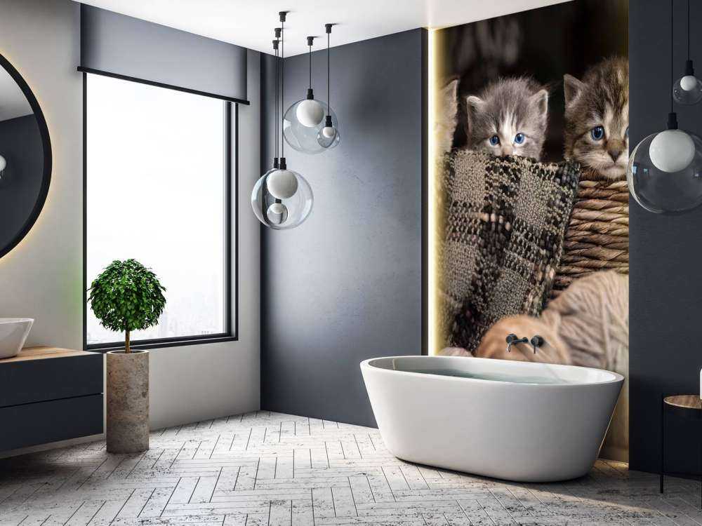 Trois chatons dans un panier