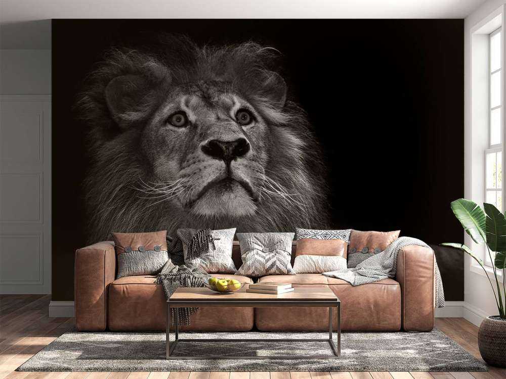 Lion sur fond noir