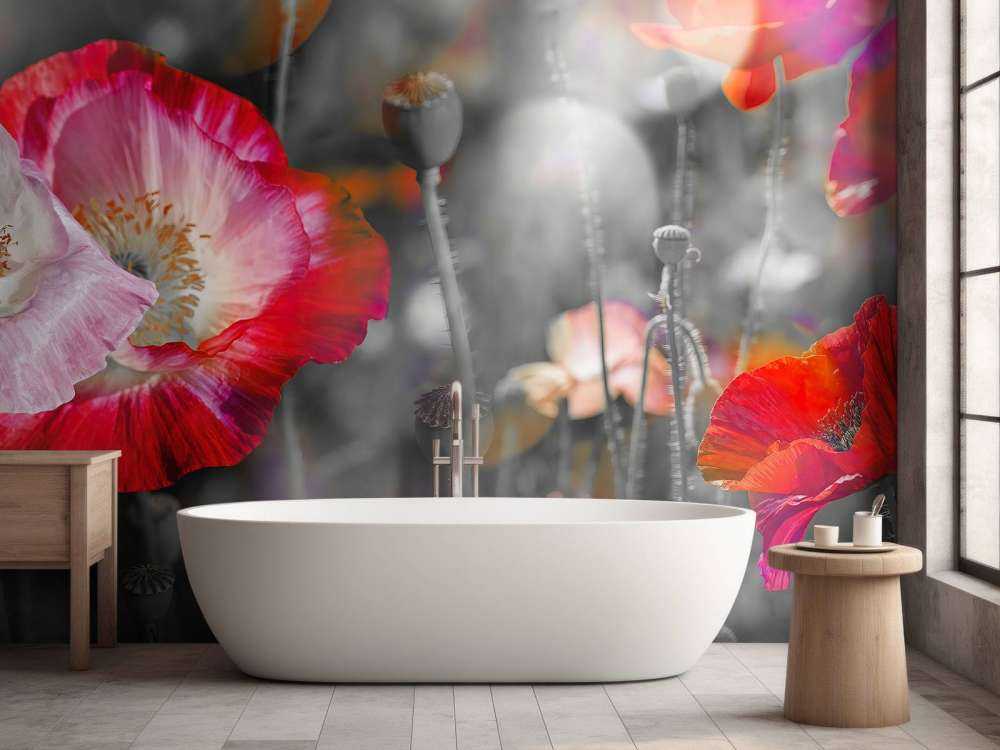 Coquelicots en noir, blanc, rouge