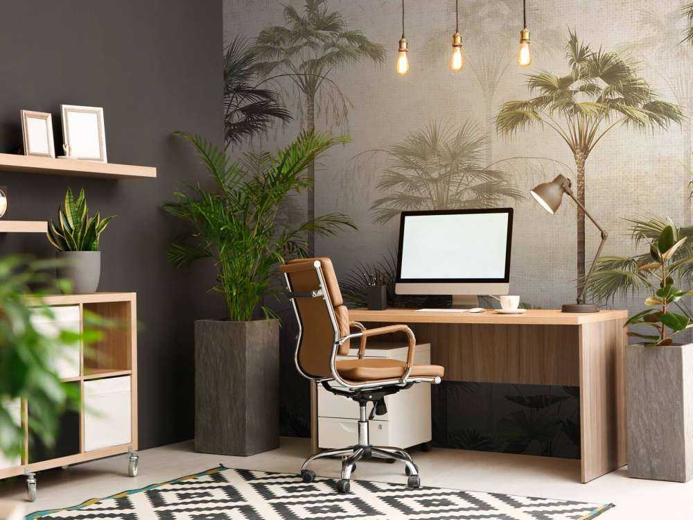 Sérénité des Palmiers Silencieuse