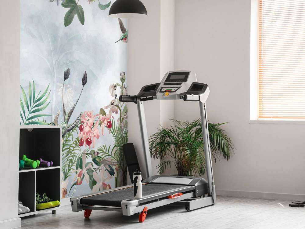 Tropic and Orchids 5