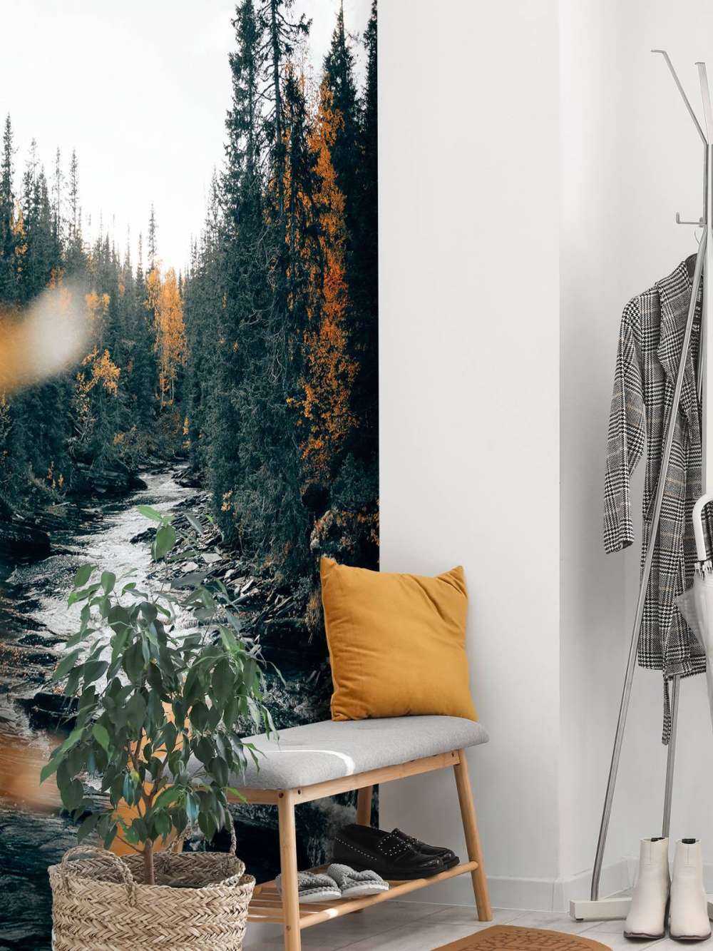 Forêt d'automne enchantée