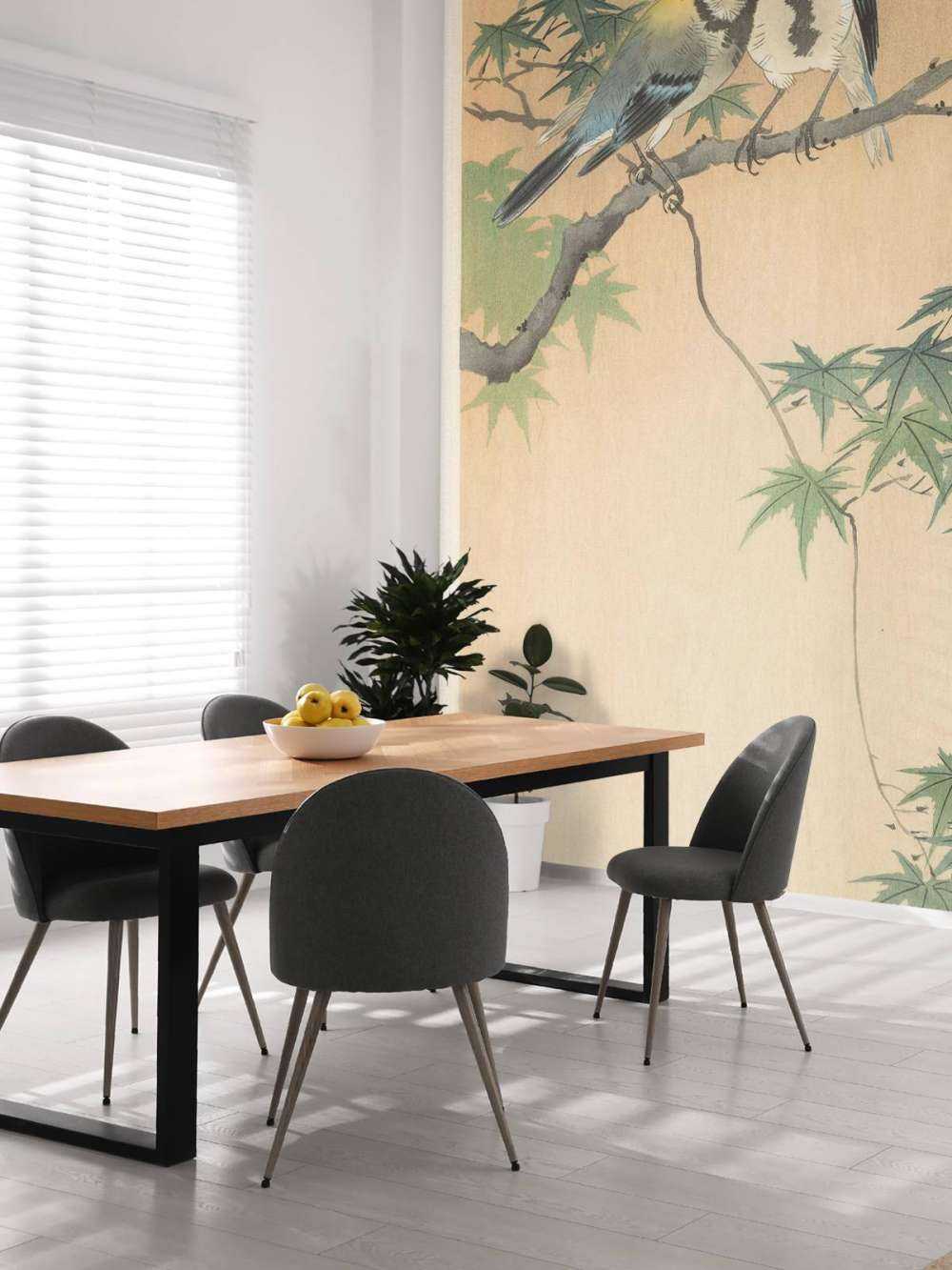 Lolos sur branche d'érable