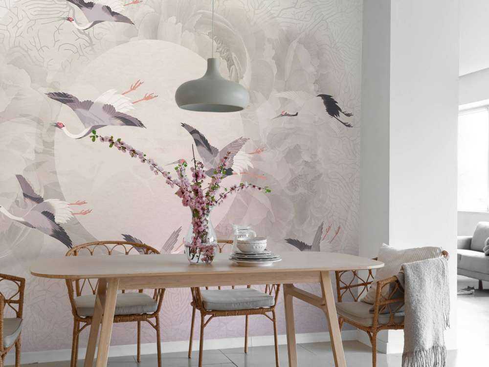 Serenity 6