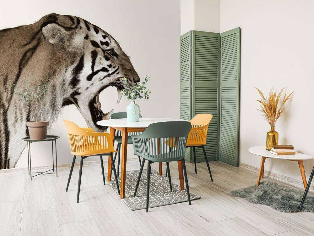 Tigre rugissant blanc