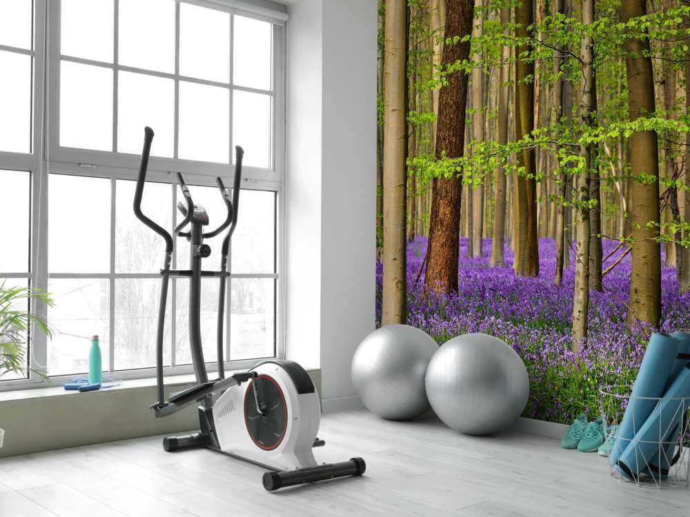 Forêt avec des fleurs violettes