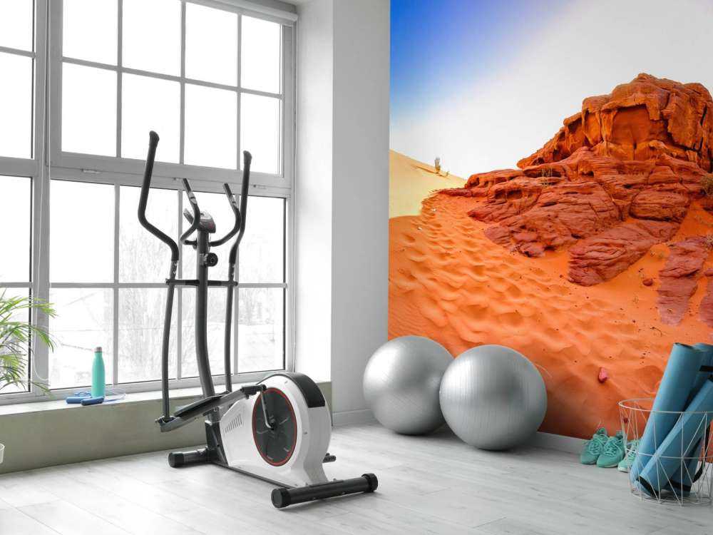 Le désert du Wadi Rum