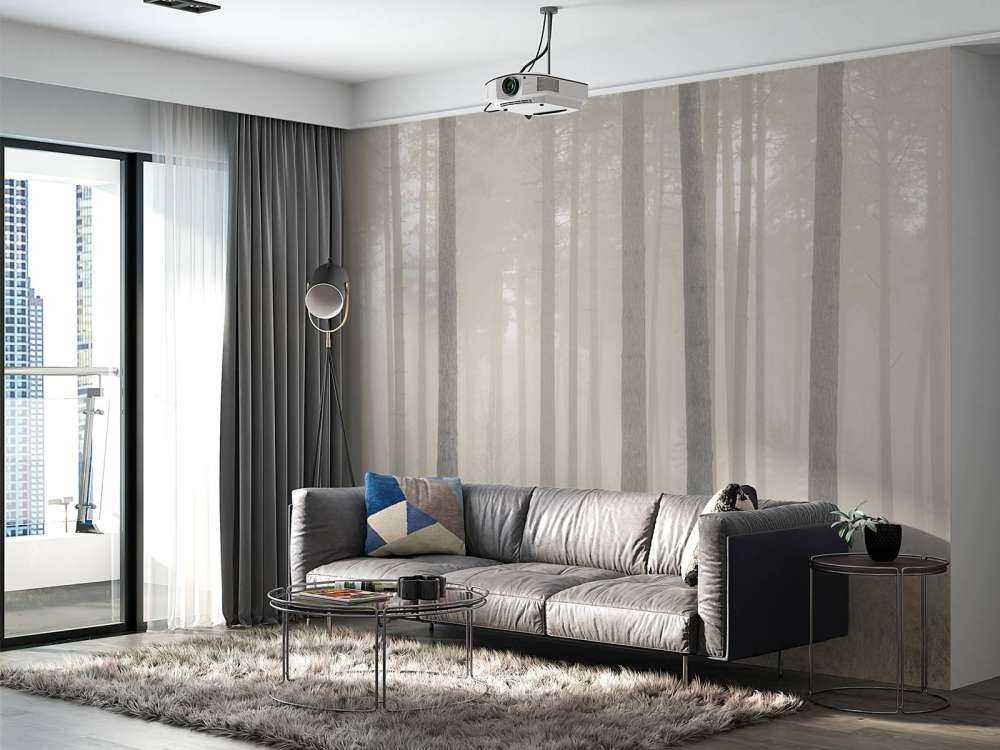 Forêt brumeuse mystérieuse