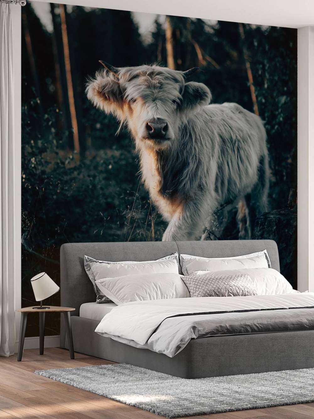 Louveteau écossais Highlander