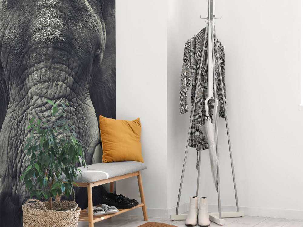 Gros plan sur un éléphant