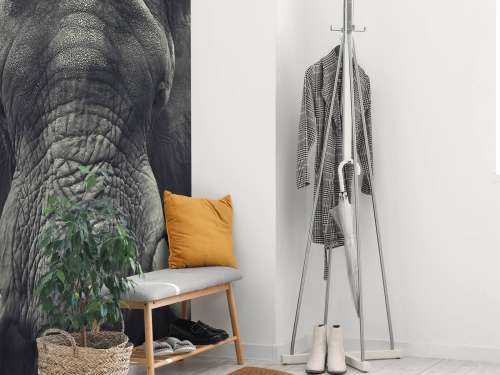 Gros plan sur un éléphant