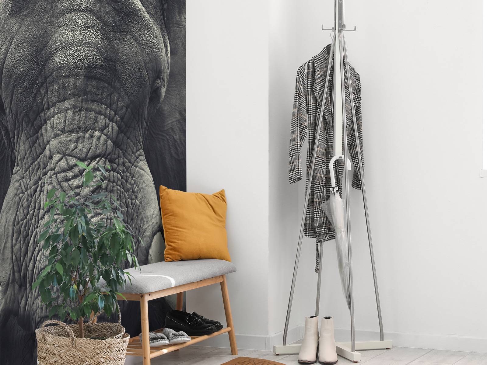 Gros plan sur un éléphant