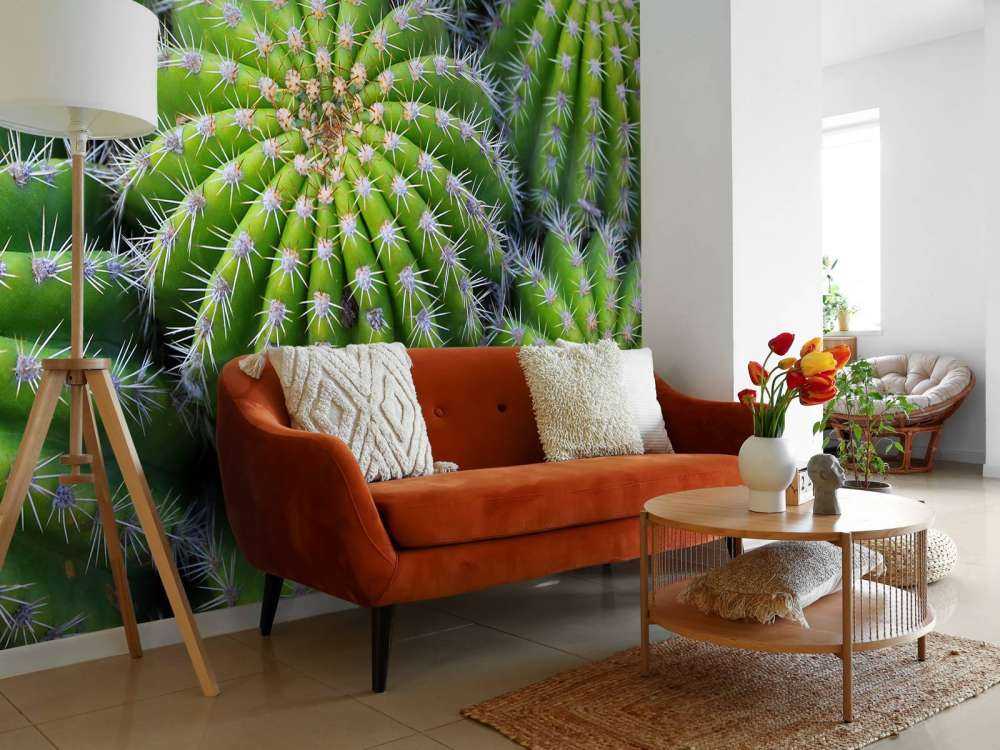 Cacti