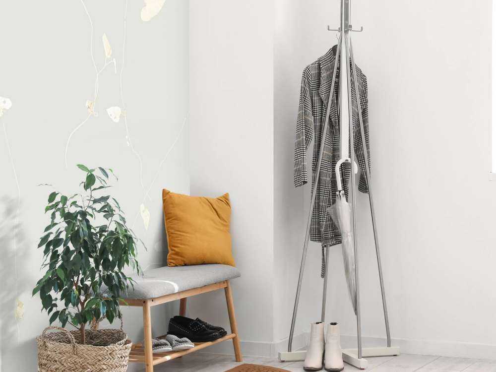 Charme commun brumeux