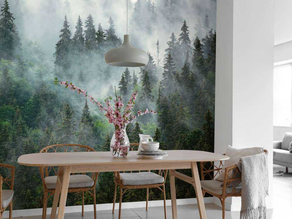 Paysage brumeux avec des arbres verts