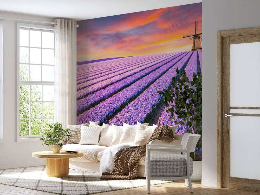Muscari bleus