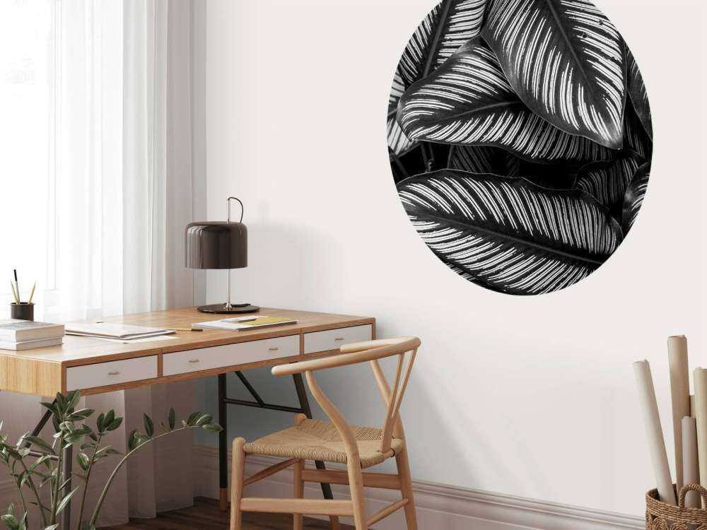 Feuilles de palmier noires et blanches