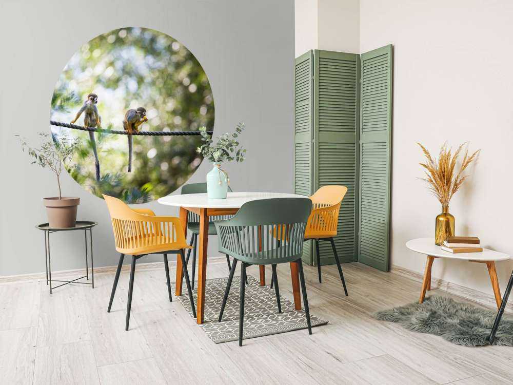 Singes écureuils sur corde