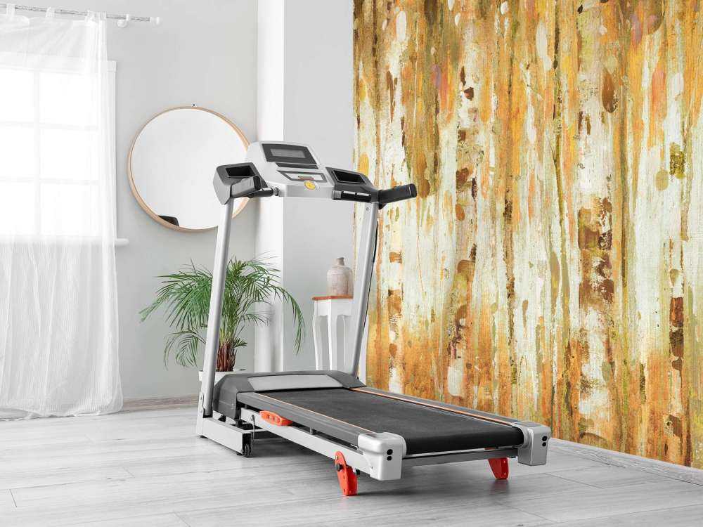 La Forêt Je Tombe Récolte