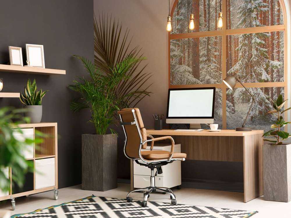 Silence neigeux dans la forêt de pins