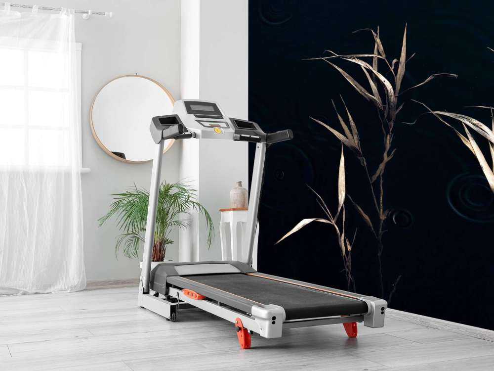 Riet dans l'eau calme