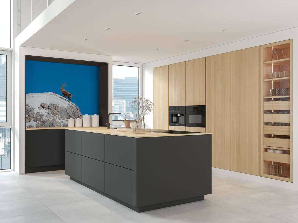 Steenbok sur un pic rocheux enneigé