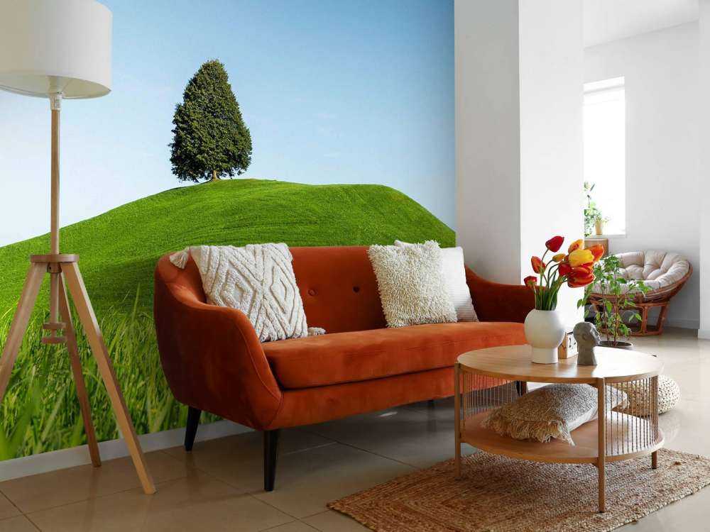 Arbre solitaire sur une colline verte