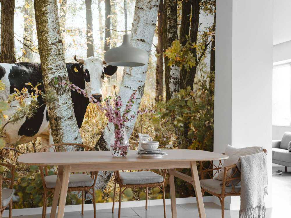 Vache curieuse dans la forêt