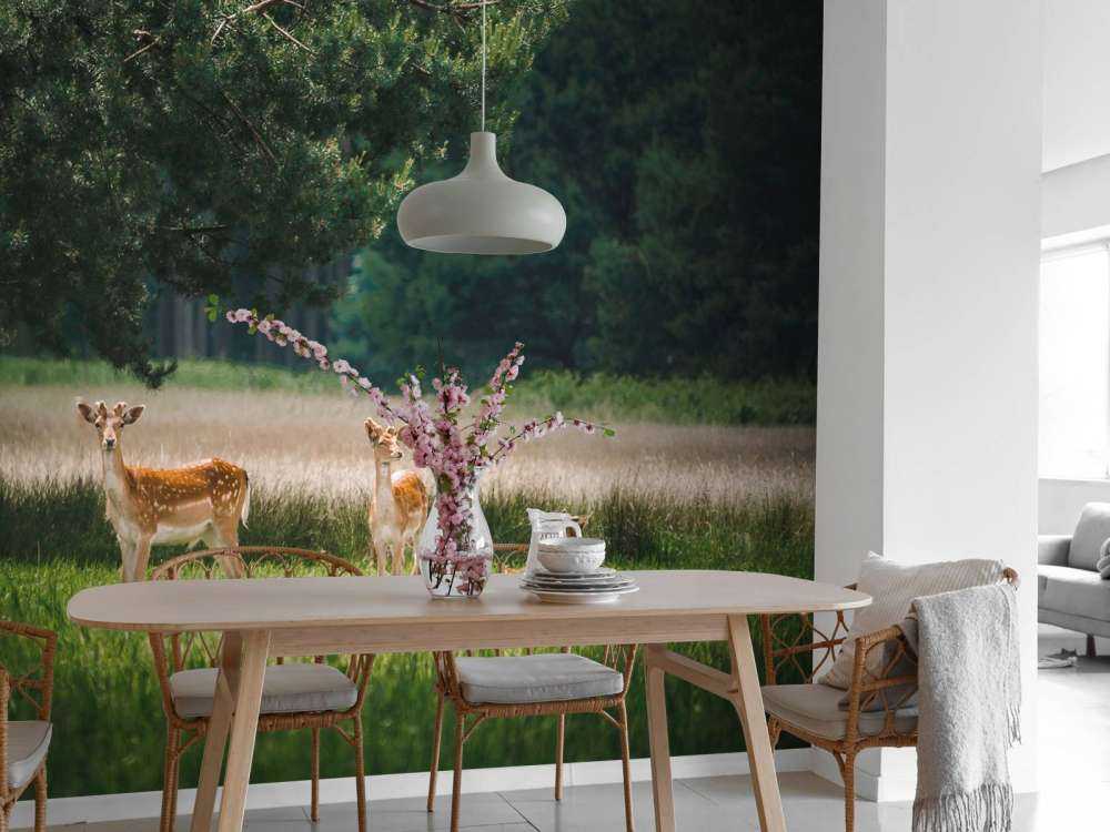 Vredige Weide avec des Chevreuils Sauvages