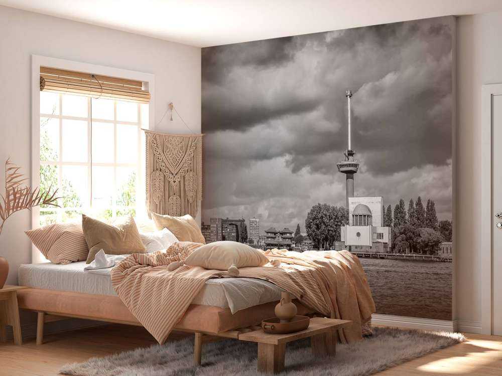 Euromast et Maas en monochrome