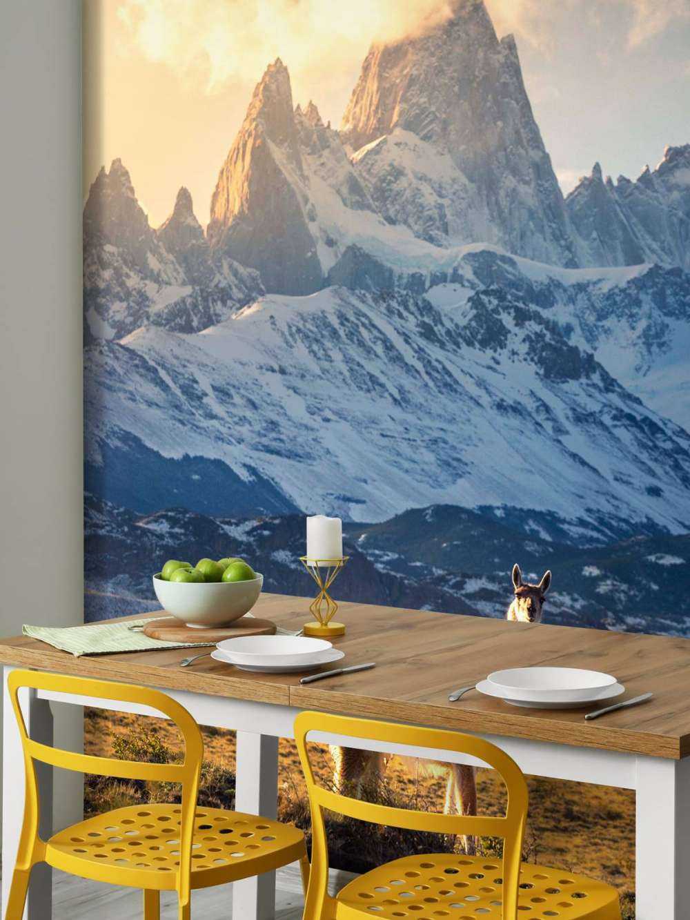 Guanaco en pleine lumière devant les sommets des Andes.