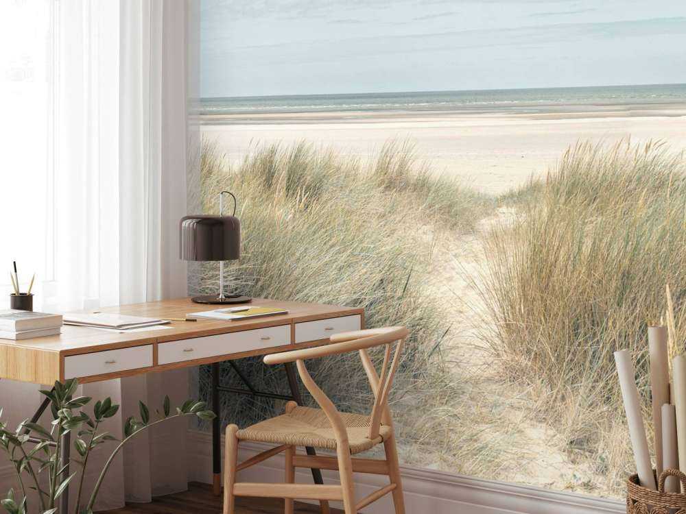 Dunes de sable herbeux sur la côte sous un ciel bleu