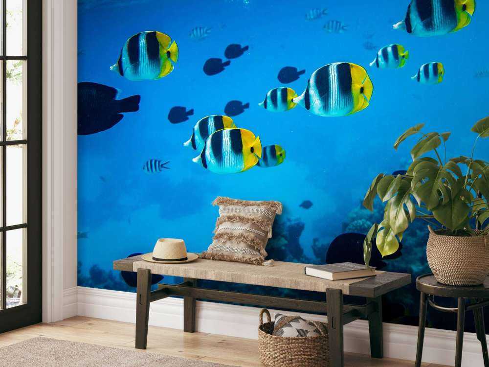 Poissons de récif tropicaux dans l'eau bleu clair