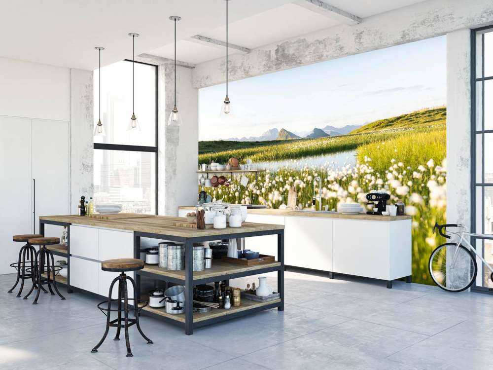 Lumière estivale sur un paysage tourbeux fleuri