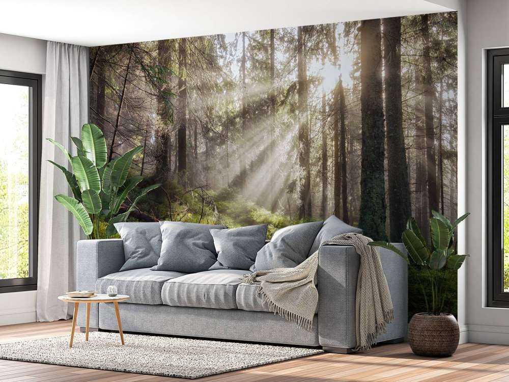 Forêt d'automne ensoleillée