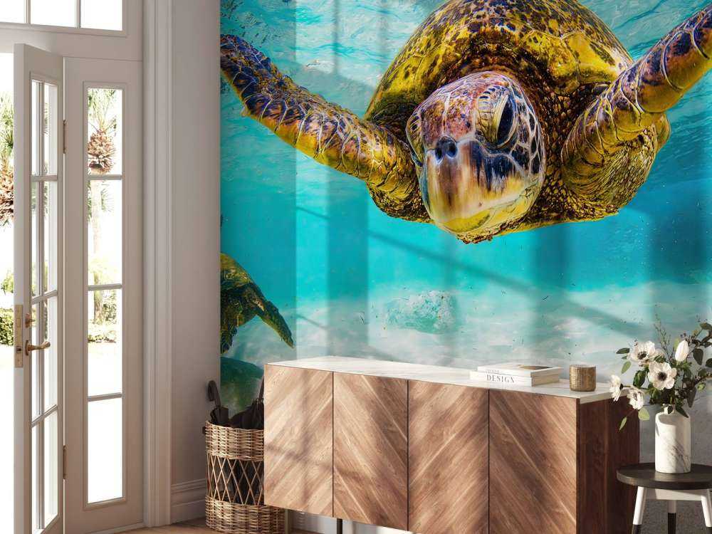 Tortue de mer dans l'océan