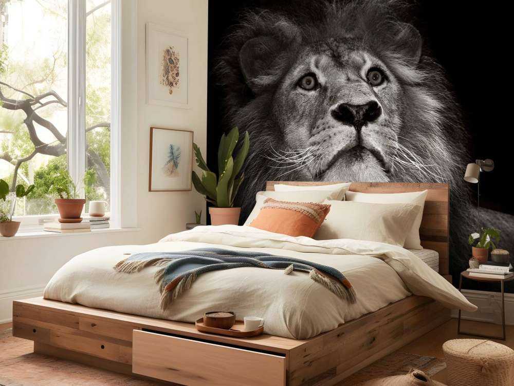 Lion sur fond noir