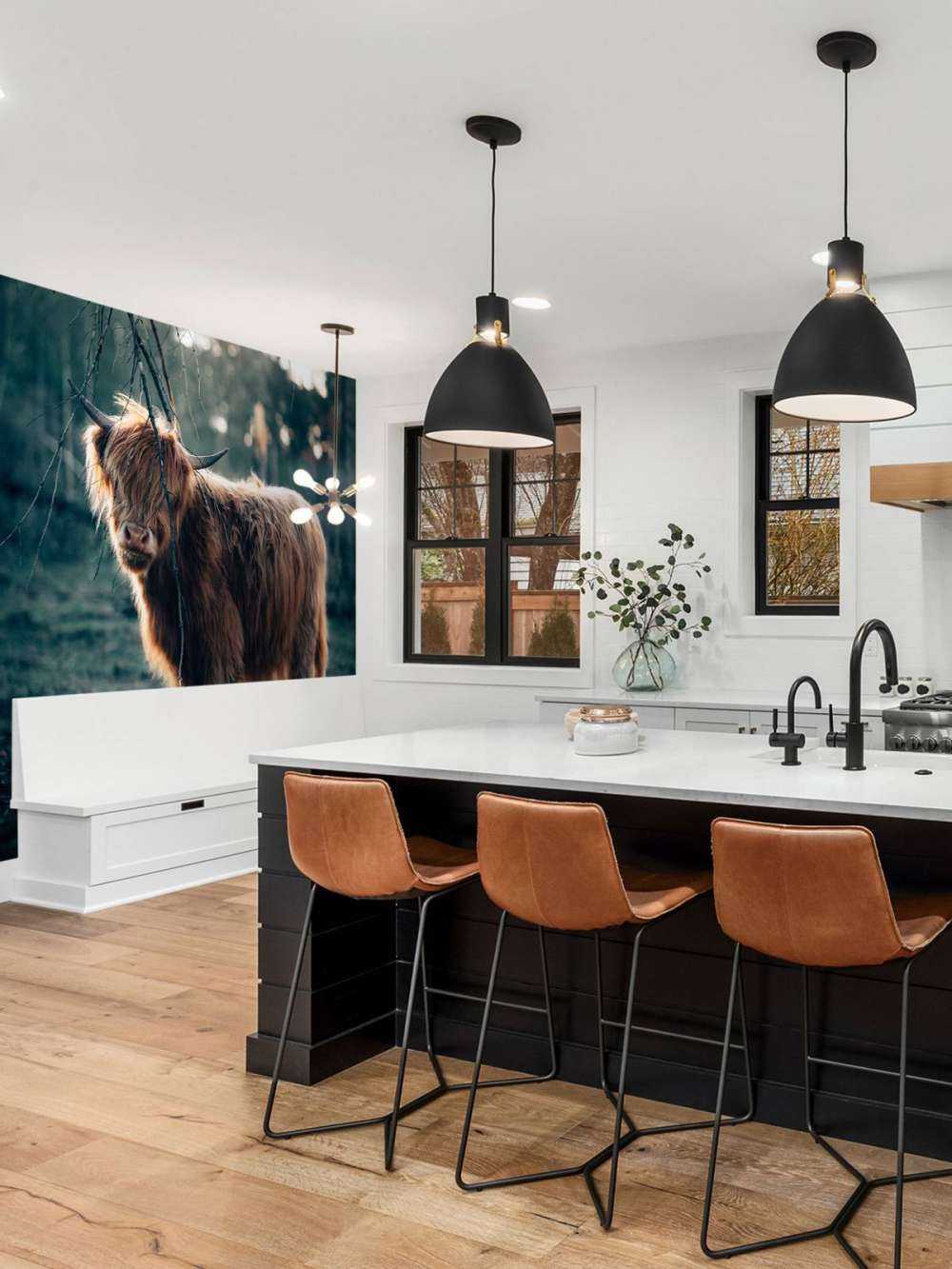 Highlander écossais à l'orée des bois