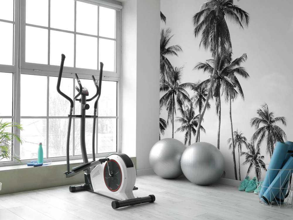 Palmiers en noir et blanc