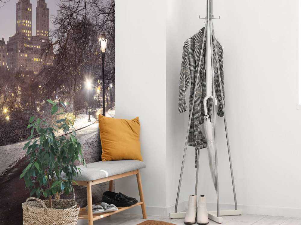 Central park couvert de neige